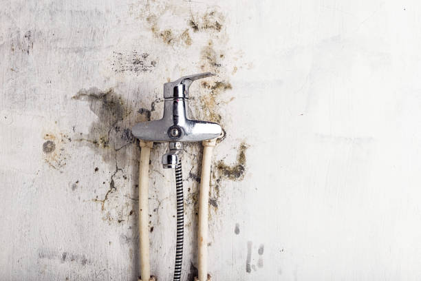 Best Mold Cleaning Services  in Cochran, GA