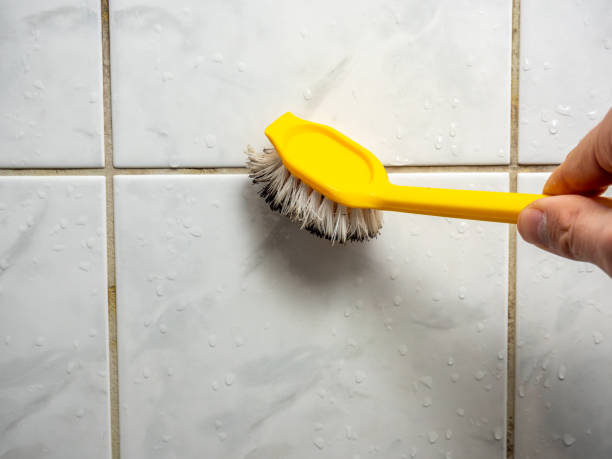 Best Mold Remediation  in Cochran, GA