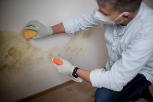 Best Residential Mold Removal  in Cochran, GA